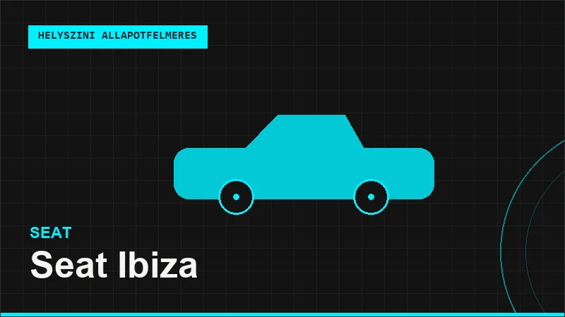 Seat Ibiza helyszíni autó állapotfelmérés vásárlás előtt